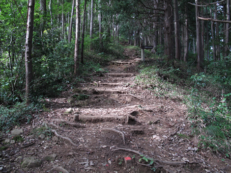 20171005hike (216)